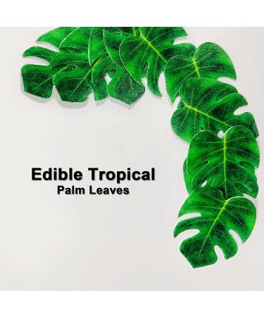 48pcs Edible Tropical Turtle Leaves Cupcake Toppers  CGHCEAIÂ  Palm Leaves Cake Decoration For Hawaii Theme Jungle Party Cake Toppers Birthday Party Supplies - Buy Online on SooperMarket.com