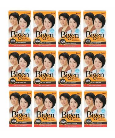 BIGEN Powder Hair Color 6g - Oriental Black N20 (Pack of 12)