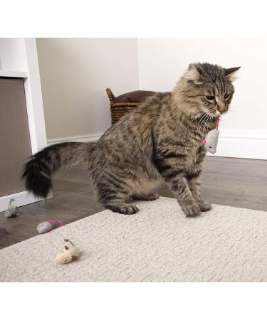 SmartyKat Skitter Critters Catnip Cat Toys - Gray/Cream (3 Count) | Pack of 1 - Buy Online on SooperMarket.com