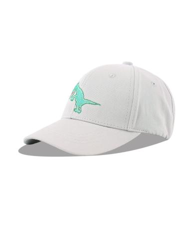 LANGZHEN 100% Cotton Outdoor Children's Kids Plain Baseball Cap Hat Adjustable Sun Hat for Girls Boys S Dinosaur Gray