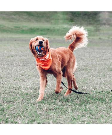 Chuckit! Ultra Squeaker Ball Large - 1-Pack | High-Quality Dog Toy for Interactive Play - Fast International Shipping - Buy Online on SooperMarket.com