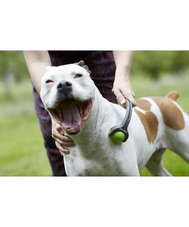 PetWell Dual Point Handheld Massage Roller for Dogs & Cats - Buy Online on SooperMarket.com
