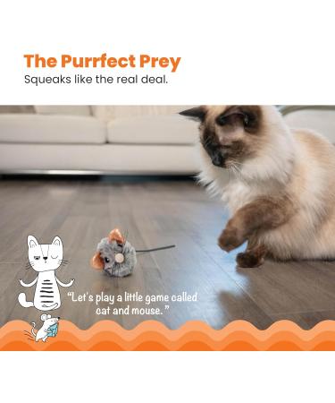 Petstages Squeak Squeak Mouse Plush Catnip Cat Toy - Buy Online on SooperMarket.com