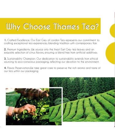 Thames Tea | Premium Flavoured Loose Leaf Tea | Citrus Earl Grey | Luxury British Tea Experience - Buy Online on SooperMarket.com