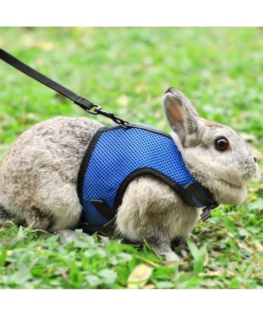 Adjustable Soft Rabbit Dishes & Elastic Leash for Small Pets - Kitty & Bunny Walking Set (Blue XS - 20-27.5cm) - Buy Online on SooperMarket.com