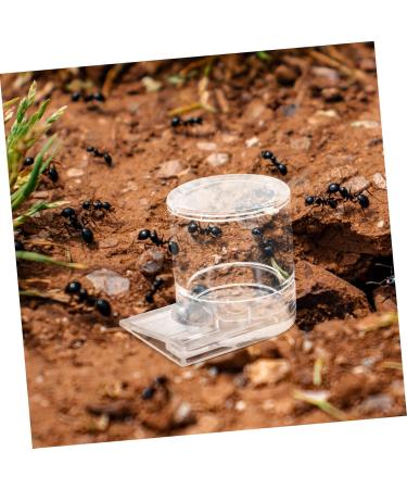 Sosoport Pet Water Feeder Clear Ants Feeder Ant Keeper Tools Ant Nest Water Cup Ant Bowl Automatic Ants Feeder Ants Feeding Device Ant Waterer Ant Feeder Ant Nest Entrance Feeder - Buy Online on SooperMarket.com