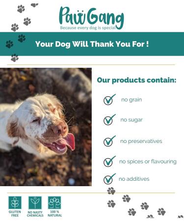 PawGang - Beef Jerky 200g - 100% Natural EU Sourced Treats for Dogs Puppies Young Adult Old Small and Large Dog - Tasty Air Dried Chews Snacks - Healthy Hypoallergenic - Low Fat Grain Free - BARF Raw - Buy Online on SooperMarket.com