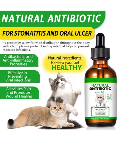 Natural Antibiotics for Cats 2 PCS Cat Antibiotics- Cat Multivitamin is anti-bacterial effect antibiotics for cats Supports Immune & Cats Allergy Relief Health Supplies Cats UTI Antibiotics(60ml) - Buy Online on SooperMarket.com