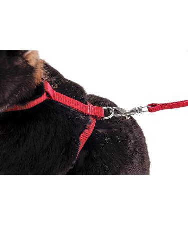 Buy Karlie Art Sportiv Plus Rabbit Harness & Leash - Red 140 cm | Durable Comfortable eCommerce Shipping Worldwide - Buy Online on SooperMarket.com