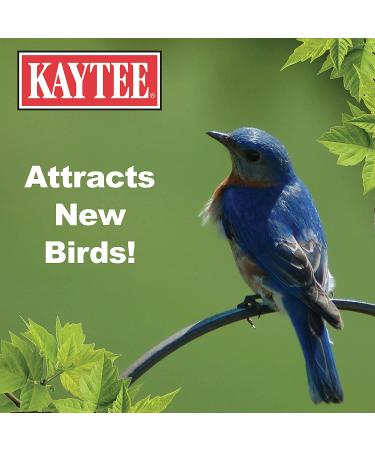 Kaytee Mealworm Food Pouch 17.6 oz - Premium Bird Food for Healthy Mealworms - Buy Online on SooperMarket.com