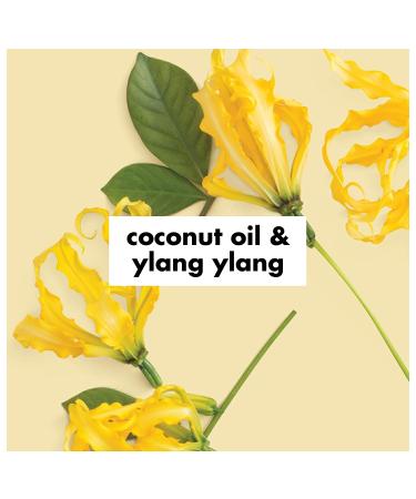 Love Beauty And Planet Coconut Oil and Ylang Ylang Deodorant 2.95 oz - Pack of 1 - Buy Online on SooperMarket.com