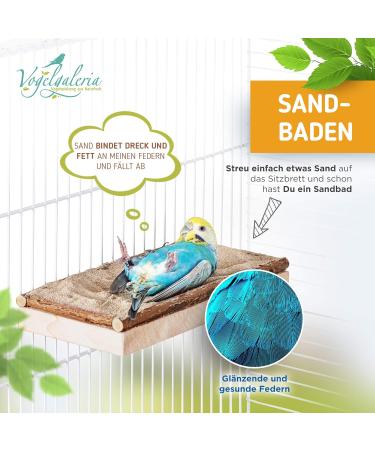 Premium Bird Gallery Perch - Quality Budgie Perches & Accessories for Bird Cages | International Shipping Available - Buy Online on SooperMarket.com