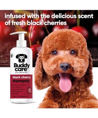 Black Cherry Dog Shampoo | BuddyCare - Deep Cleaning Fruity Fragrance Aloe Vera & Pro-Vitamin B5 (500ml) - International Shipping Available - Buy Online on SooperMarket.com