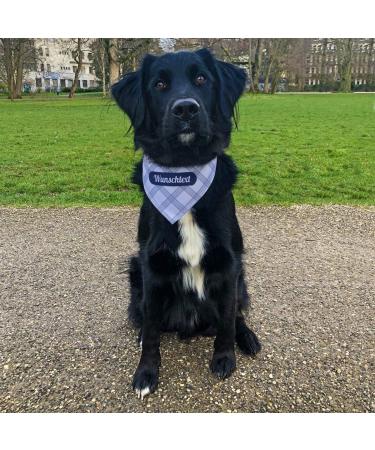 Printplanet Dog Halen with Custom Name - Necker for Dogs in Carnage Pattern - Size L Cream & Blue - Buy Online on SooperMarket.com