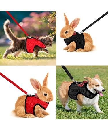 2-Pack Adjustable Pet Dishes & Leash for Rabbits Squirrels Bunnies Ferrets & Chinchillas - Ideal for International Shipping - Buy Online on SooperMarket.com