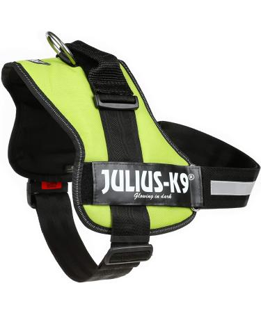 Shop K9 Powerharness 2XL/3 in Kiwi - Durable Adjustable Perfect for Active Dogs | International Shipping Available - Buy Online on SooperMarket.com