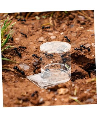 GREENADSCAPE Pet Water Feeder Ant Feeder Ant Feed Bowl Ant Keeper Tools Ant Bowl Ant Feeding Cup Plastic - Buy Online on SooperMarket.com