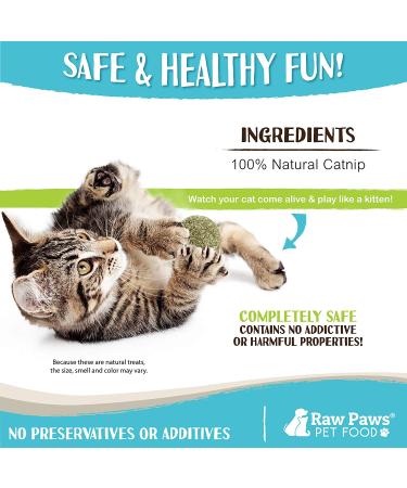 Raw Paws Compressed Catnip Ball Toy 6 Pack for Indoor Cats - All Natural Catnip Interactive Kicker Toy - Catnip Cat Toys for Kitties - Buy Online on SooperMarket.com