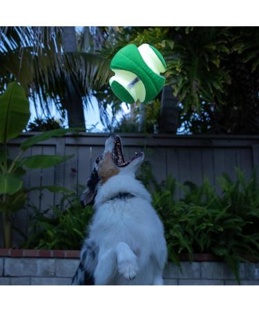 Chuckit! CH32300 Kick Fetch Max Glow Small Green - Best Interactive Dog Toy for Nighttime Play | International Shipping Available - Buy Online on SooperMarket.com