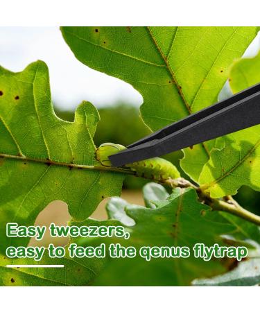 8 Pieces Venus Fly Trap Feeding Tweezers Carnivorous Plant Feeding Tongs Straight and Curved Food Tongs for Flytraps Pitcher Plants Butterwort Reptile Feeding - Buy Online on SooperMarket.com