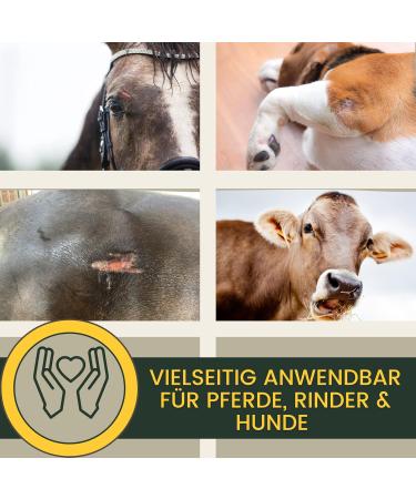 First Aid Set for Horses - Silver Spray & Zinc Ointment for Wound Healing Protection & Disinfection | 250ml & 200ml Options for Pets & Livestock - Buy Online on SooperMarket.com