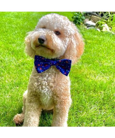 Huxley & Kent Boston Pops Pet Bow Tie (XL) | Patriotic 4th of July Collar Attachment | Red, White & Blue Fun Bow Tie for Dogs & Cats - Buy Online on SooperMarket.com