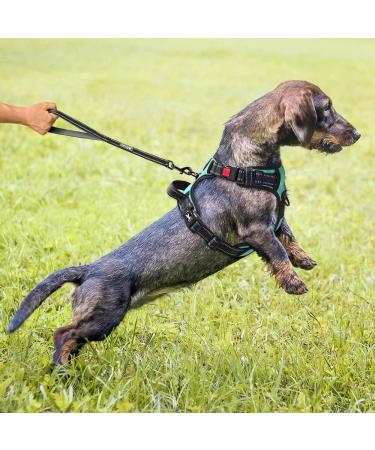 POPOT No Pull Dog Harness - Reflective Pet Vest for Training & Walking | XS Mint Blue - Buy Online on SooperMarket.com