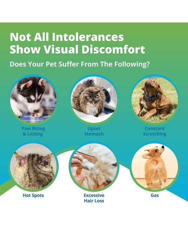 5Strands Pet Food and Environmental Intolerance Test | Home Sensitivity Kit for Dogs & Cats | Hair Sample Collection | 380 Items Tested | Results in 7 Days - Buy Online on SooperMarket.com