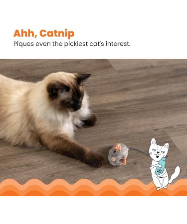 Petstages Squeak Squeak Mouse Plush Catnip Cat Toy - Buy Online on SooperMarket.com