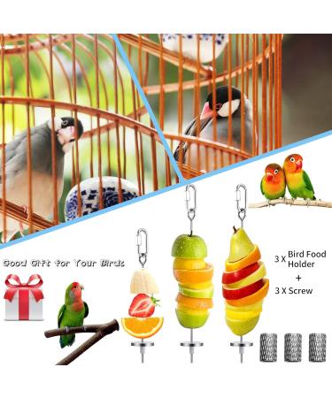 3-Pack Stainless Steel Parrot Spit & Bird Toy Holder for Nymphensittich & Budgies - Feed Hang & Treat Your Pets - Buy Online on SooperMarket.com