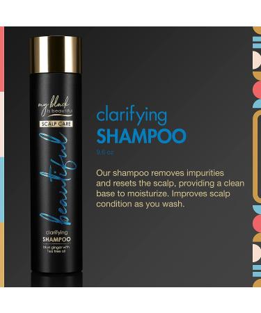 MBIB Clarifying Sulfate-Free Shampoo for Dry & Damaged Hair - Blue Ginger & Mint | 9.6 fl oz - Buy Online on SooperMarket.com