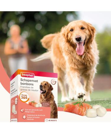 Beaphar Skin & Coat Treatment Candies with Salmon - 245g | Best Dog Care for Healthy Fur | Shop Now - Buy Online on SooperMarket.com