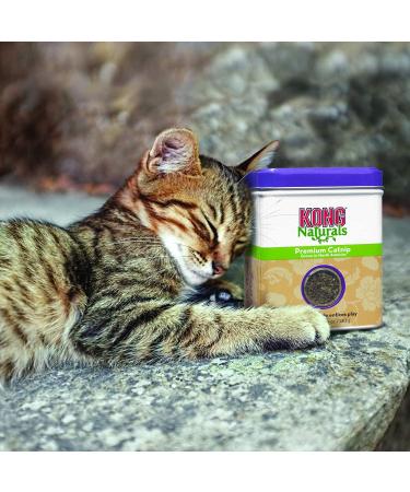 KONG Naturals Premium Catnip 2 oz (2 Pack) - North American Grown Catnip | 100% Natural Catnip - Buy Online on SooperMarket.com