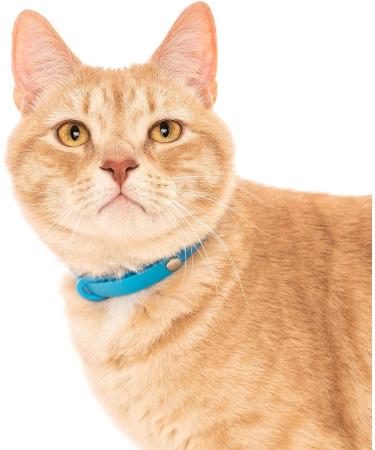 Nuvuq Soft & Light Cat Collar with Breakaway Snap Button - Blueberry Blue - Buy Online on SooperMarket.com