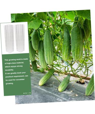 BCOATH 2pcs Vegetable Shaping Fruit Vegetable Forming Mould Kit Watermelon Picking Garden - Buy Online on SooperMarket.com