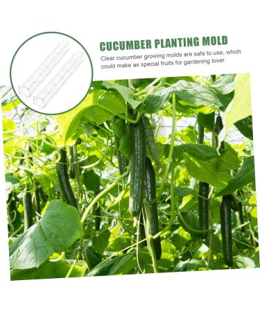 Milisten Horticulture 3pcs Vegetable Shaping Mold Strawberry Garden Tools Cucumber Molds As Shown 20x6cm - Buy Online on SooperMarket.com