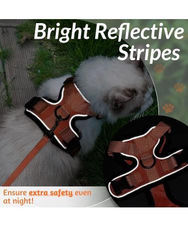 Rabbitgoo Cat Dishes & Adjustable Breakage-Proof Cat Harness Set - Orange M (1 Pack) for International Shipping - Buy Online on SooperMarket.com