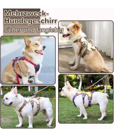 Multi-Purpose Dog Harness & Leash Set - Outbreak-Proof Anti-Train Safety Harness for Small & Medium Dogs (Pink M) - Buy Online on SooperMarket.com