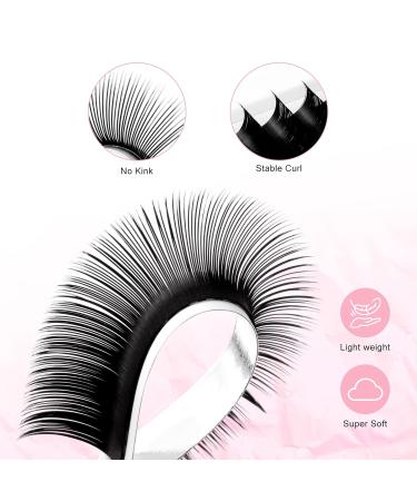 TDANCE Premium D Curl Eyelash Extensions 0.05mm + Ellipse Flat Lashes 0.15 D Curl 8-15mm - Mixed Lengths - Buy Online on SooperMarket.com