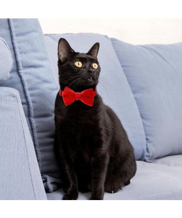 Personalized Cat Collars with Bells - Adjustable Pet Safety Collars for Small Dogs & Cats - 2 Pack in Red & Black - Buy Online on SooperMarket.com