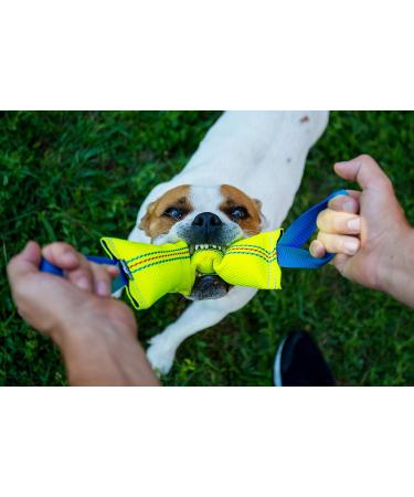 Buy Bull Fit Dog Toy - 30 cm Robust Fire Hose K9 Training & Tug-of-War - Handmade & Durable - Buy Online on SooperMarket.com