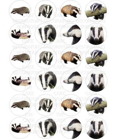 24 edible Badgers Badger British Wildlife kids childrens party decorations Iced/Icing Cupcake Topper Edible Fairy Cake Bun Toppers Round - Buy Online on SooperMarket.com