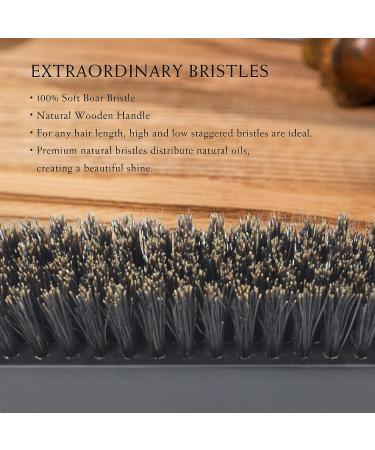 Ecoed Boar Bristle Brush 2pc Set for Fine & Medium Hair | Ideal for Smoothing, Waves & Beards | Gentle on Scalp | Enhances Texture - Buy Online on SooperMarket.com