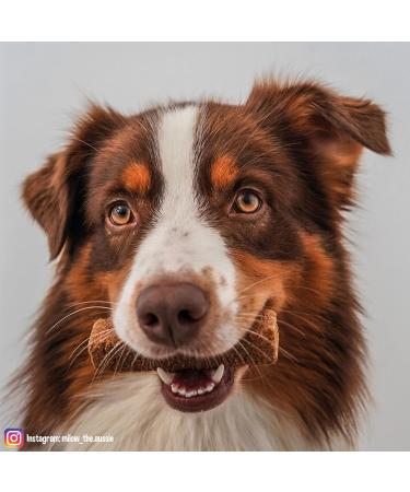 Schecker dogReform Dog Bread - Ideal Toothbrush & Hard Baked Dog Biscuits for Medium to Large Dogs - 1kg Pack | International Shipping Available - Buy Online on SooperMarket.com
