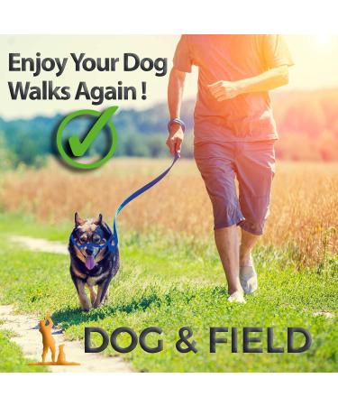 Dog & Field Figure 8 Anti Pull Lead/Halter/Head Collar (RED) - One Size Fits All - Soft Braided Nylon - Comfortable, Secure & Proven for Enjoyable Walks - Buy Online on SooperMarket.com