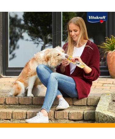 Vita Force Beef Stick - Hypoallergenic Dog Treats with Turkey & Ostrich Rice & Potatoes Sugar-Free | 50x12g - Buy Online on SooperMarket.com