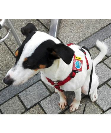 Josi.li Dog Collar Pocket - Nappa Leather Eco-Friendly Fits 33x33mm & 40mm Collars 6 Colors Available - Buy Online on SooperMarket.com