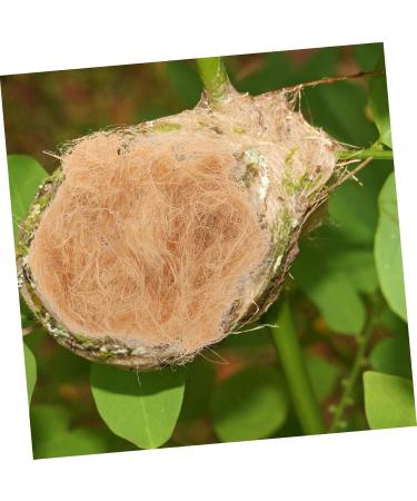 Yardwe BAST-Grasseide Gift Box for Wild Birds | Nesting Materials & Accessories | 22x12x4 cm - Buy Online on SooperMarket.com