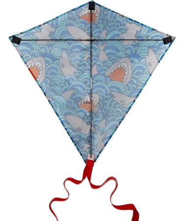 Large Premium Diamond Kite - Easy to Fly for Kids and Adults | Fun Outdoor Activity for Boys and Girls | Perfect for Beach or Park (Watercolor) Tie-Dye - Buy Online on SooperMarket.com