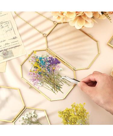 Dried Babys Breath Flowers - 100 Pcs Natural Gypsophila Branches for DIY Crafts and Gifts - Mixed Color Pressed Baby's Breath Flowers - Buy Online on SooperMarket.com